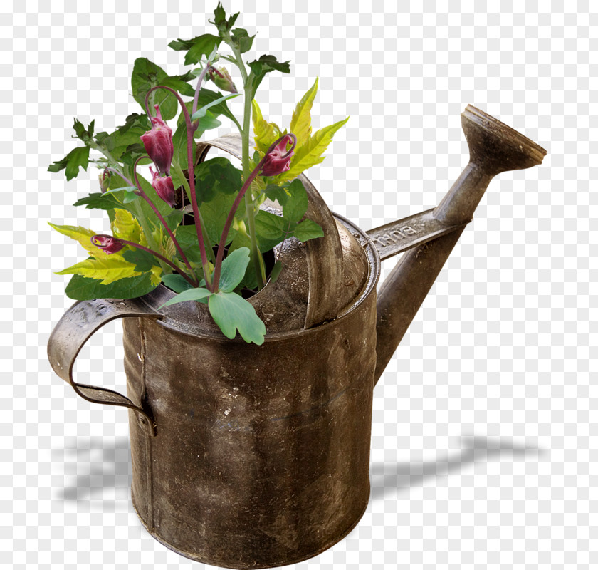 Dubna Watering Cans Gardening Flowerpot PNG