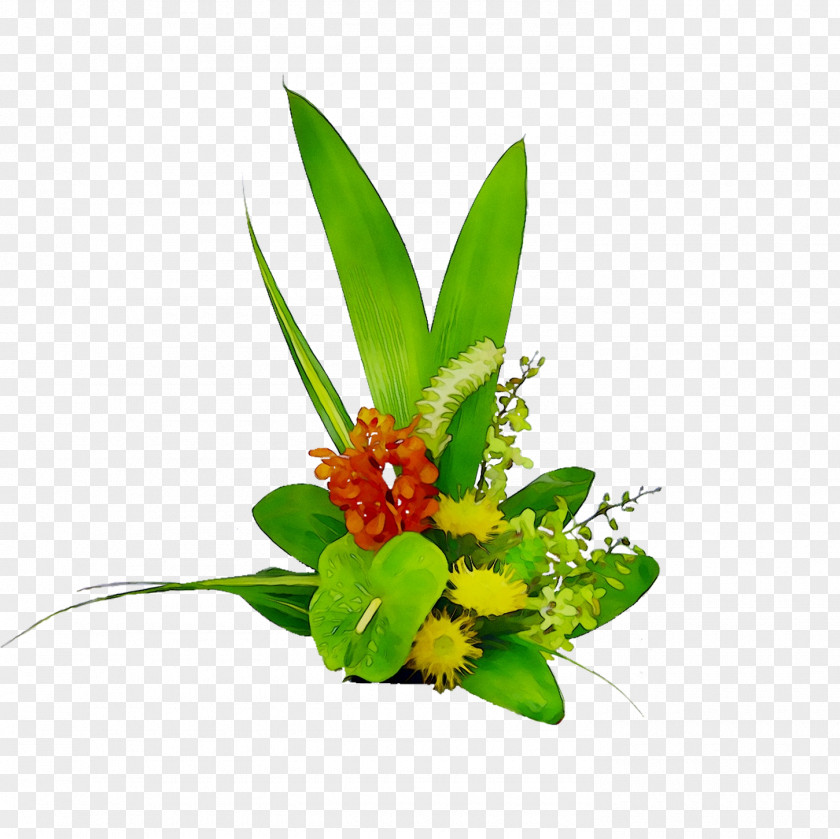 Floral Design Cut Flowers Flower Bouquet PNG