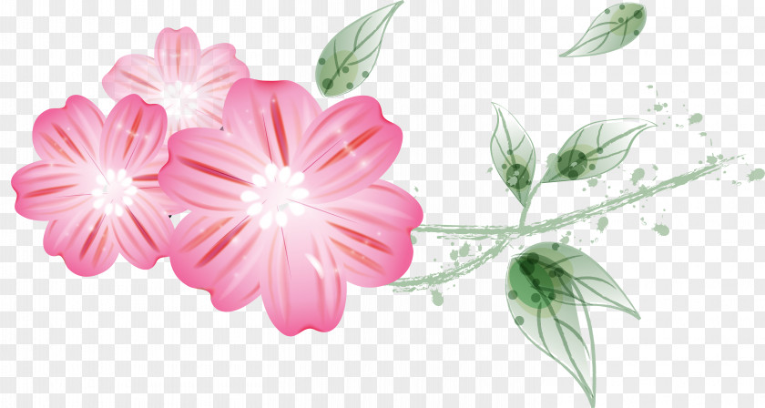 Flowers Download Petal Clip Art PNG