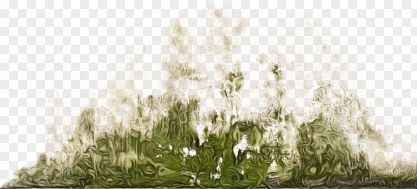 Meadow Flower Family Tree Background PNG