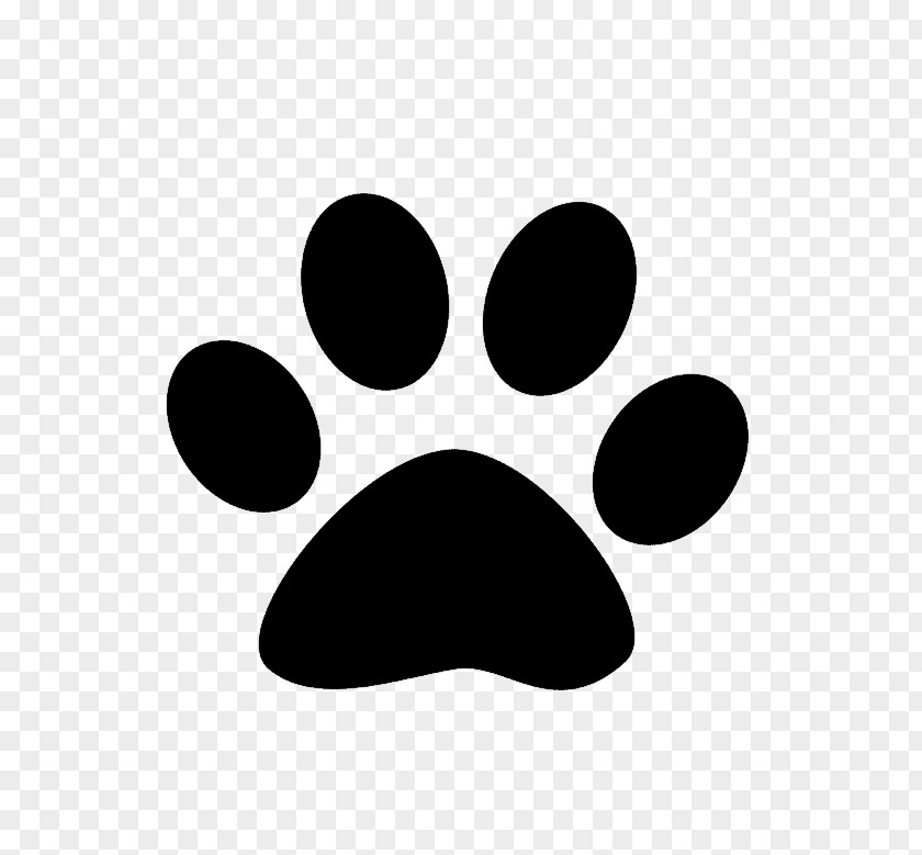 Picture Of Paw Prints United States Paraveterinary Worker Veterinarian Veterinary Medicine Zazzle PNG