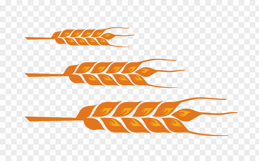 Wheat Color Design Vector Material PNG
