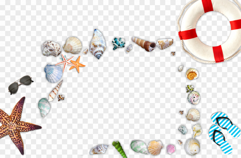 Beach Elements Seashell Sea Snail PNG