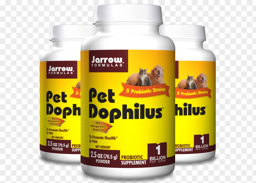 Cat Dietary Supplement Formula Probiotic Pet PNG