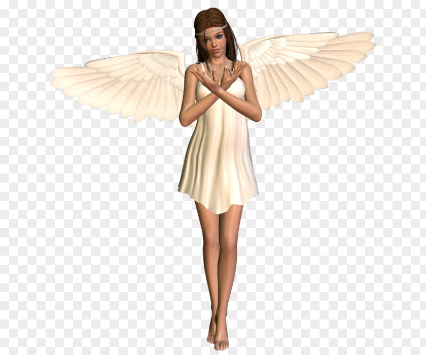 Daz Costume Angel M PNG