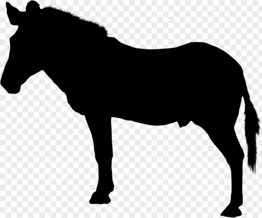 Horse Racing Vector Graphics Silhouette Black PNG