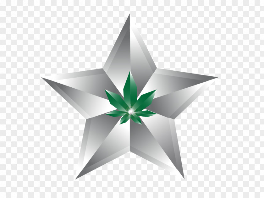 Logo Plant Green Star PNG