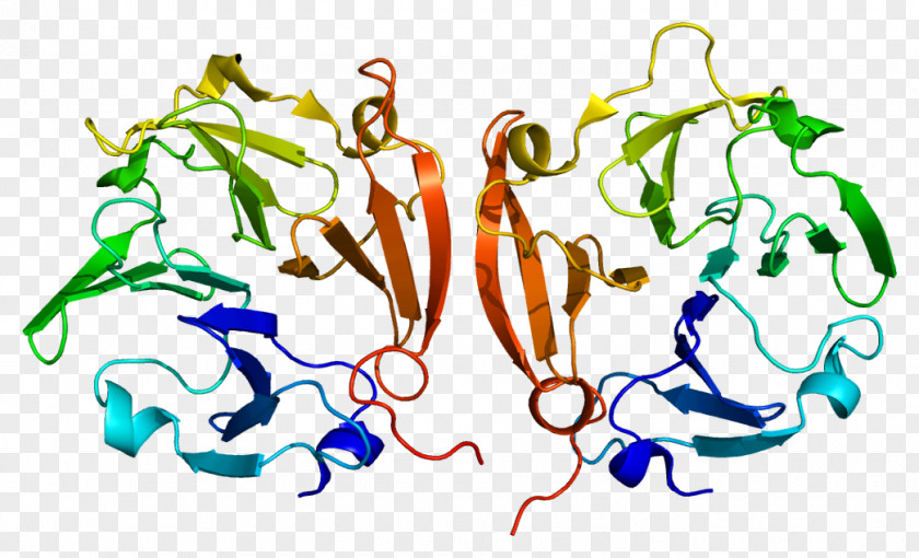 MMP9 Matrix Metalloproteinase Extracellular Enzyme PNG
