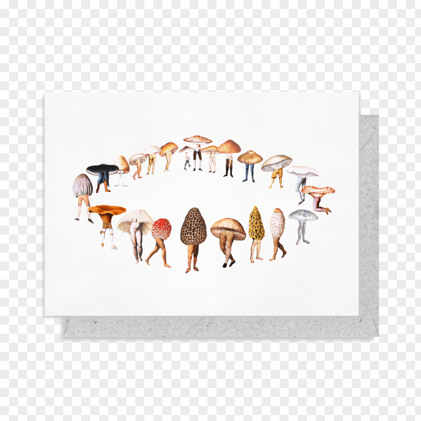 Mushroom Artist Fairy Ring Illustration PNG