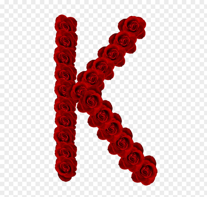 Rosas Vermelhas Lettering Alphabet PNG