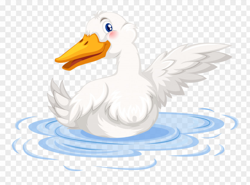 Vector Ducks Duck Goose Illustration PNG