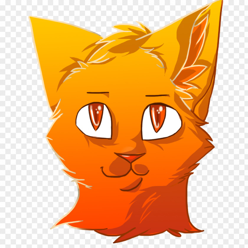 Kitten Whiskers Cat Drawing PNG