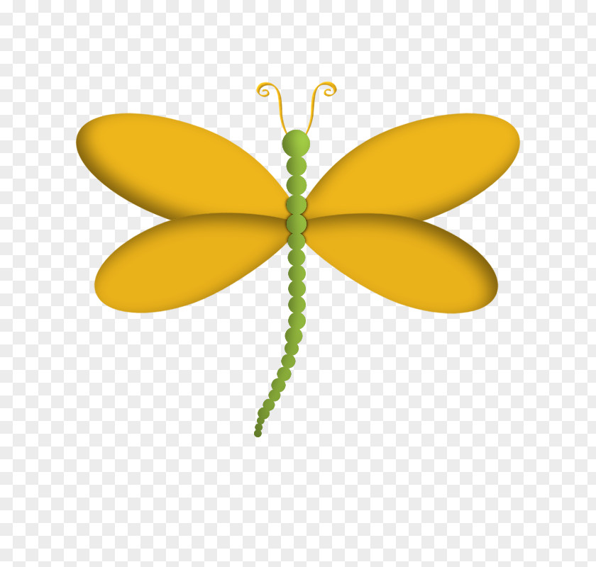 Logo Symmetry Leaf Yellow Insect Dragonflies And Damseflies Plant PNG