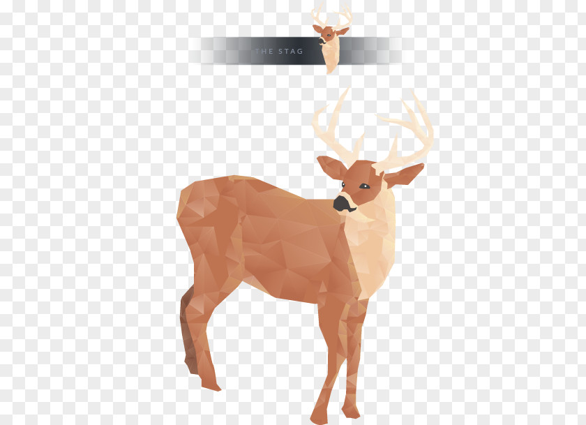 Low Poly Animals Reindeer White-tailed Deer Sticker Wall Decal PNG