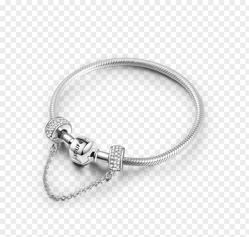 Silver Charm Bracelet Earring Chain PNG