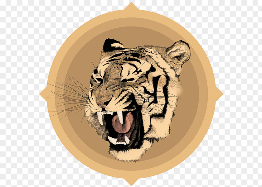 Tiger Drawing Chamo Roar PNG
