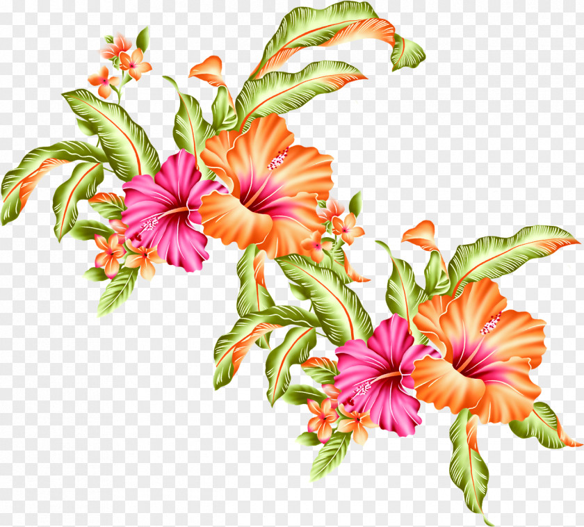 Trumpet Flowers Orange Flower Ipomoea Nil PNG