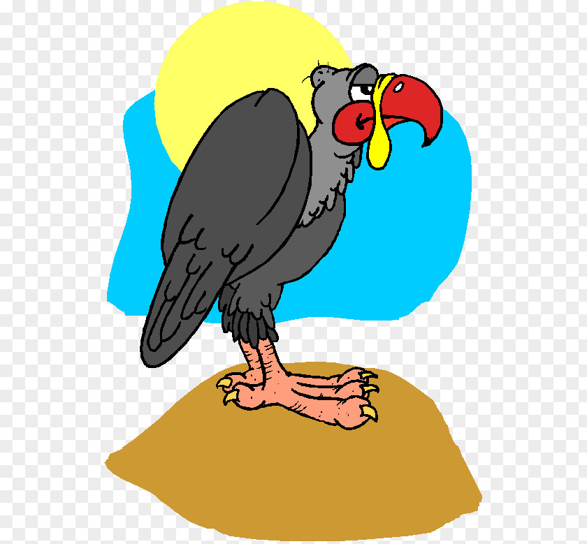 Wing Falconiformes Eagle Bird PNG