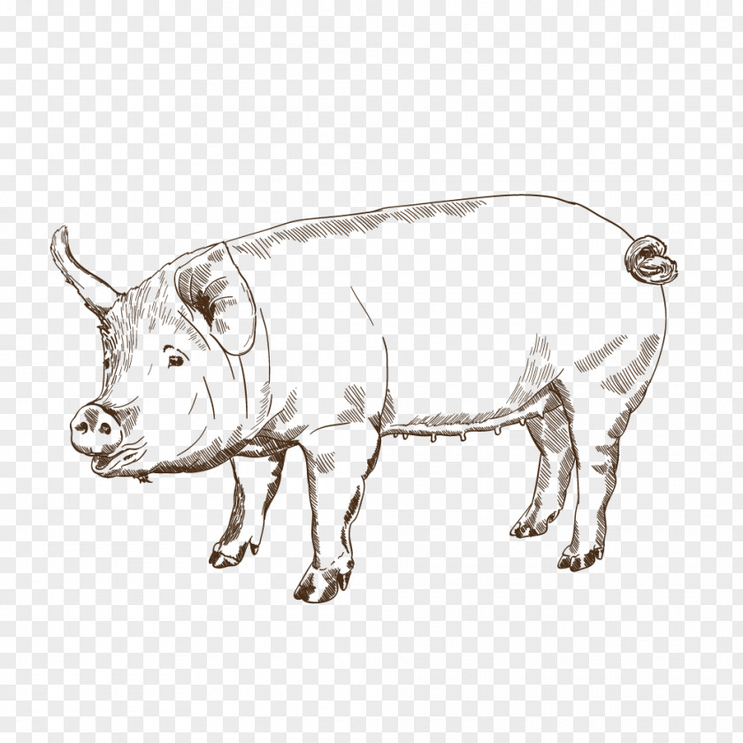 And Imported Snacks Pig Cattle Ox Bull Snout PNG