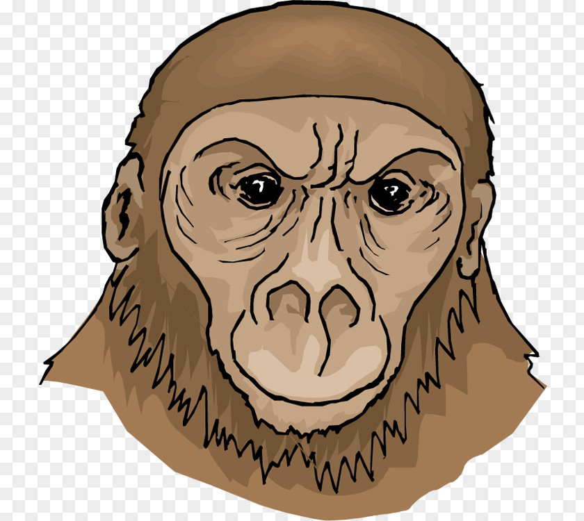 Ape Cliparts Gorilla Giant Panda Clip Art PNG