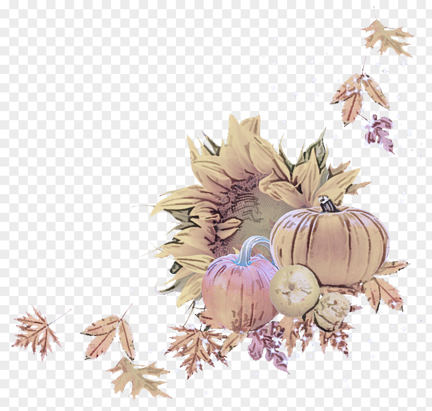 Autumn Plant Leaf Clip Art PNG