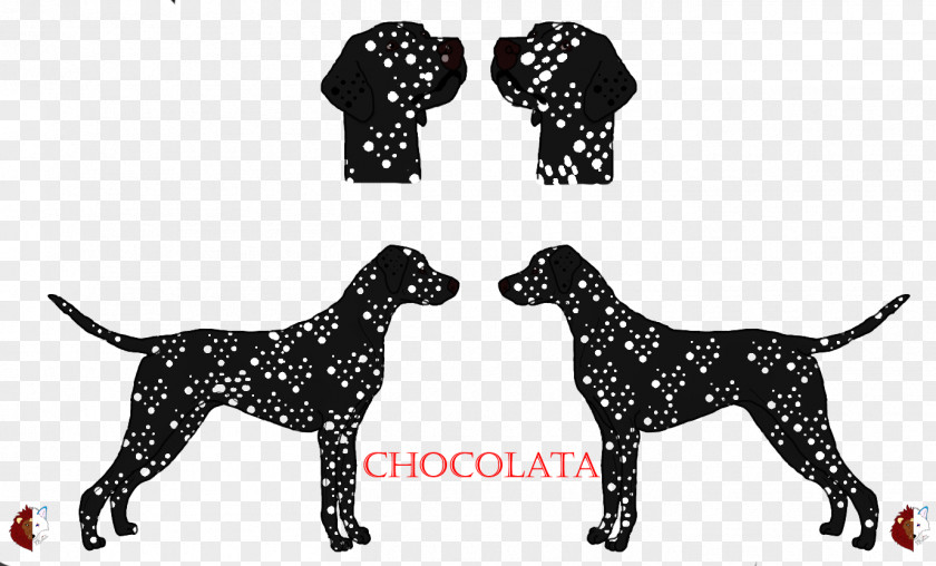 Chocolata Weimaraner Dalmatian Dog Black And Tan Coonhound German Shorthaired Pointer Dobermann PNG