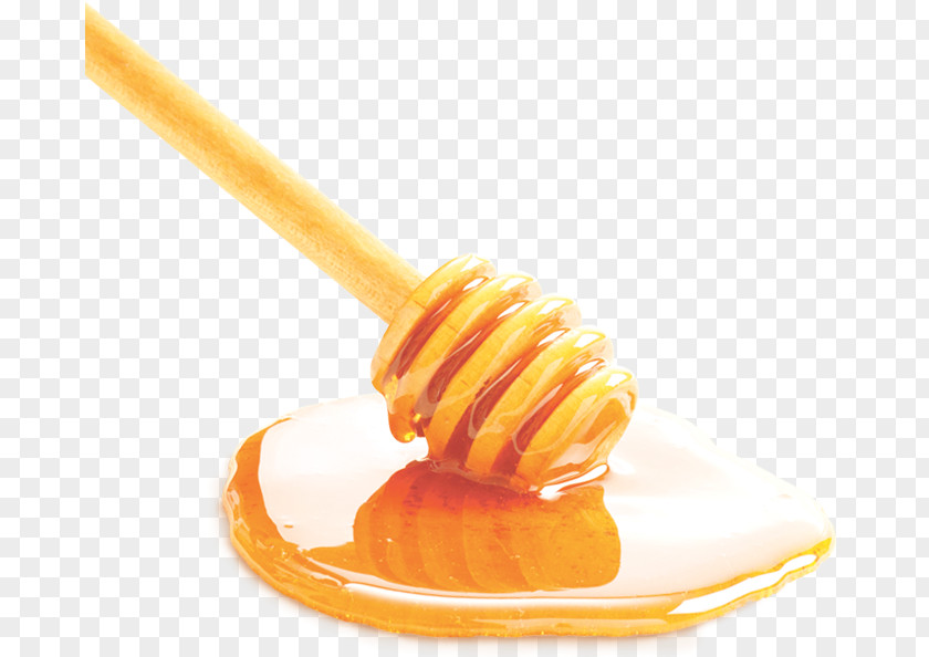 Coffee Robusta Honey Ingredient Arabica PNG