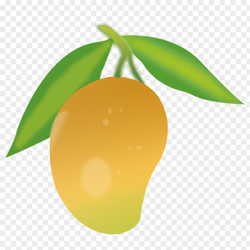 Green Mango Clip Art PNG