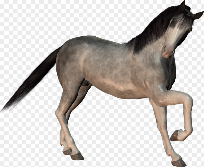 Horse Sculpture PNG