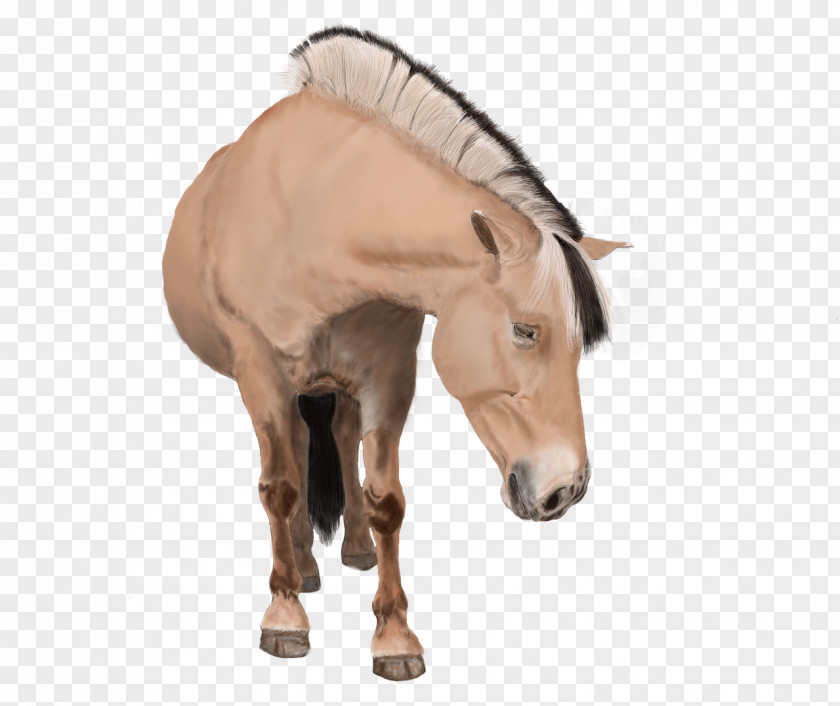 Seahorse American Paint Horse Stallion Pony Animal Rein PNG
