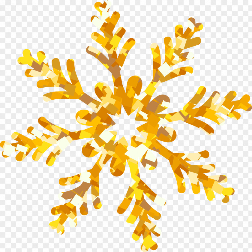 Snowflake Holiday Christmas PNG