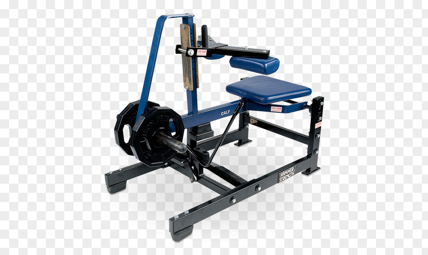 Calf Raises Strength Training Exercise Equipment Fitness Centre PNG