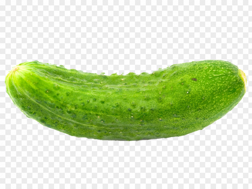 Cucumber Pickled Desktop Wallpaper Vegetable Juice Spreewald Gherkins PNG