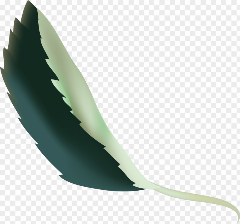 Fresh Green Leaves Angle Feather PNG