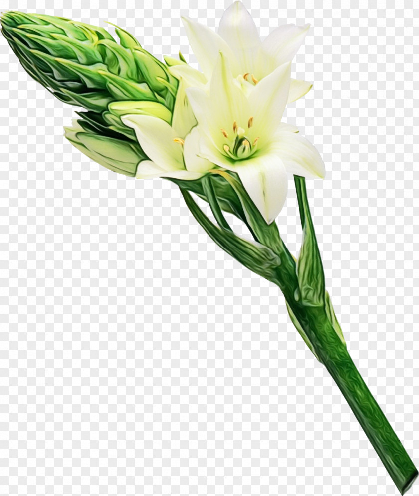 Artificial Flower PNG