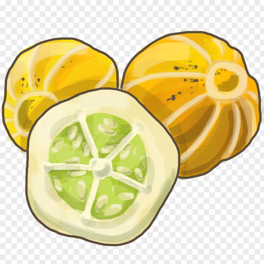 Cucumis Sativus Lemon Cucumber Lime Fruit Food PNG
