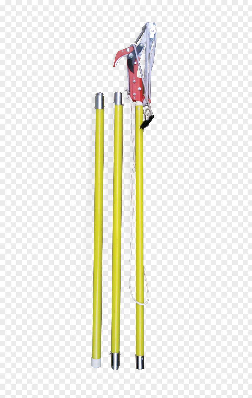 Design Ski Poles PNG