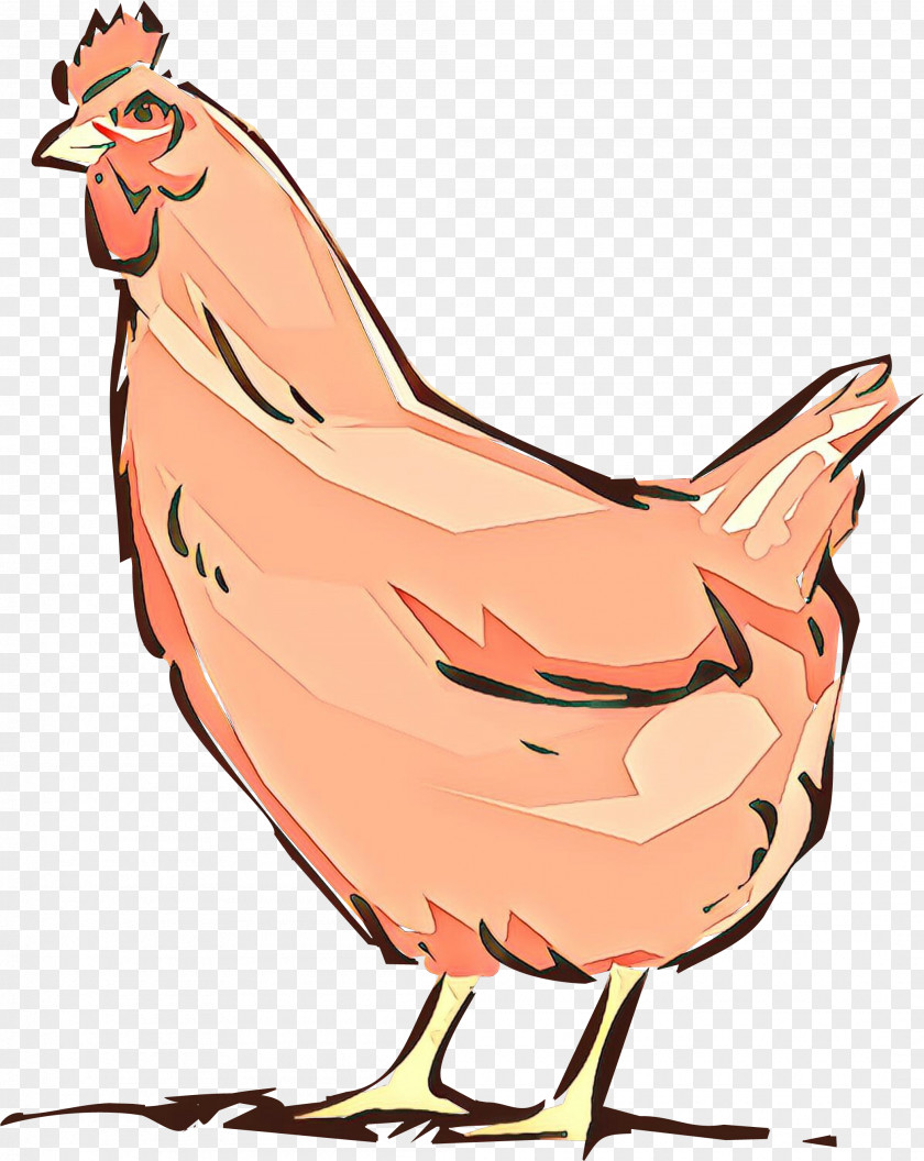 Livestock Beak Chicken Rooster Clip Art Bird Cartoon PNG