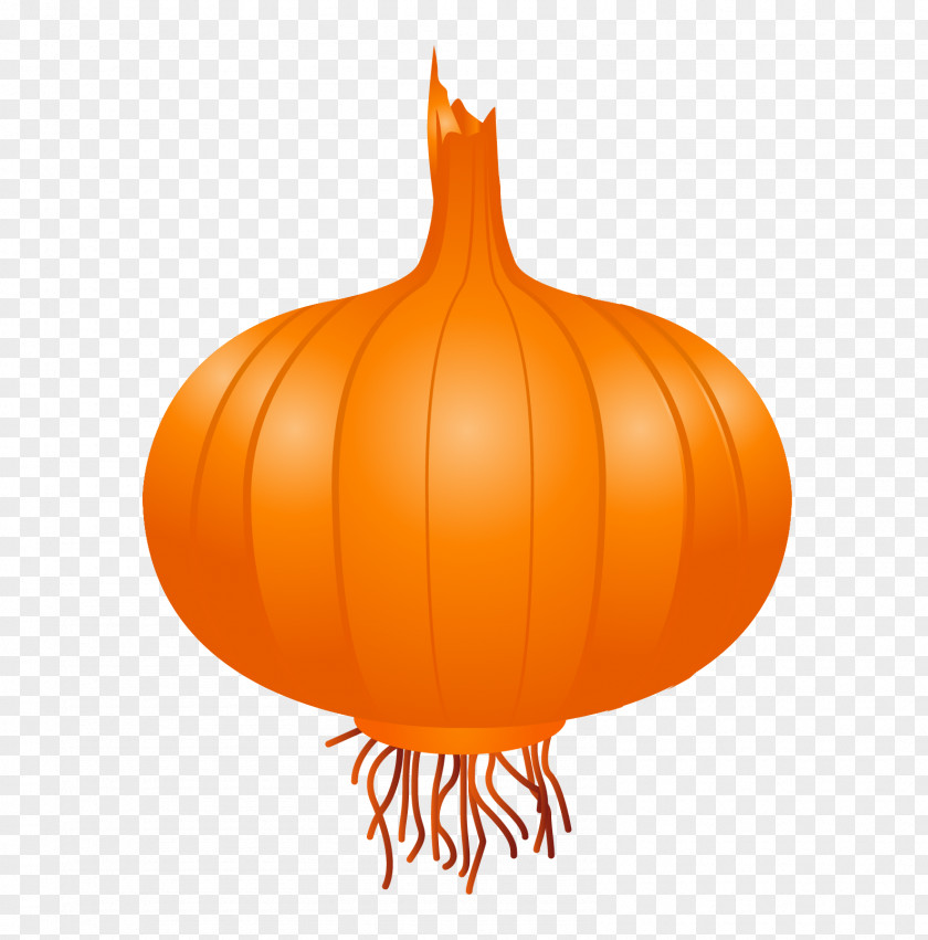 Onion Vegetable Icon PNG