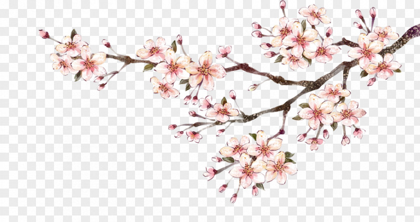 Plum Flower Blossom Ink Wash Painting PNG