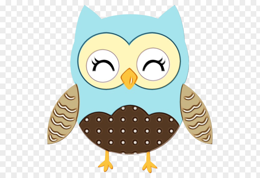 Snowy Owl Cartoon Bird Drawing PNG