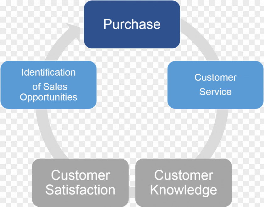 After Sales Service Self-harm Accounting Adolescence Severe Anxiety PNG