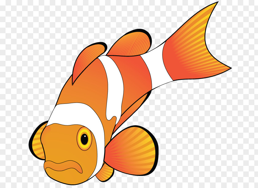 Fish Clip Art PNG