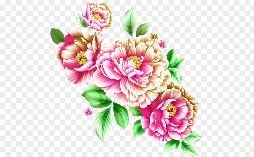Flower Floral Design Cut Flowers Cabbage Rose Carnation PNG