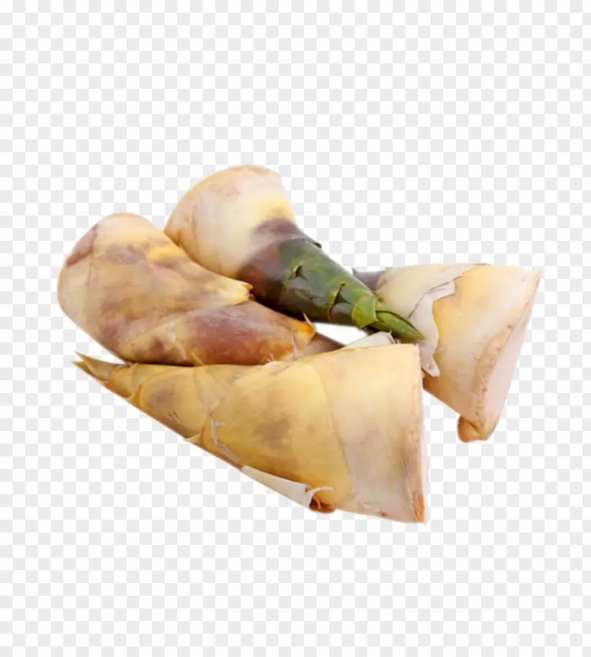 Four Bamboo Shoots Huangtianzhen Spring Roll Shoot PNG