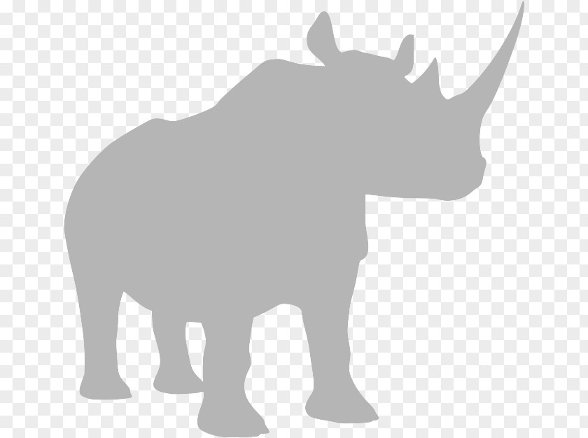 Indian Rhinoceros Snout Elephant PNG