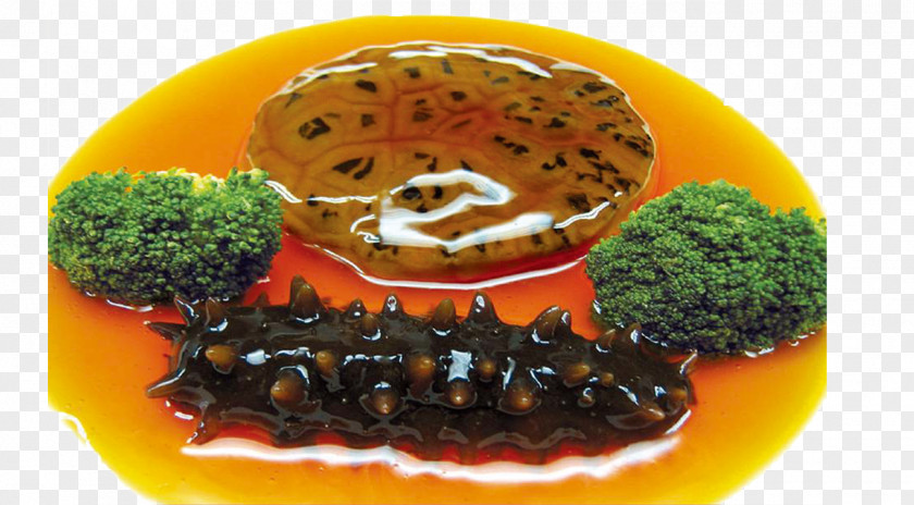 Sea Cucumber As Food Chinese Cuisine Seafood Menu Recipe PNG