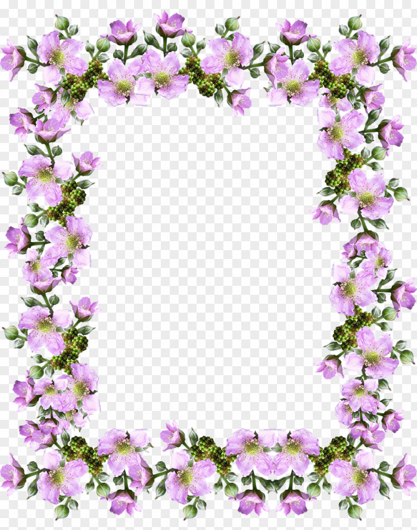 Blosssom Border Clip Art Image Free Content Stock.xchng PNG
