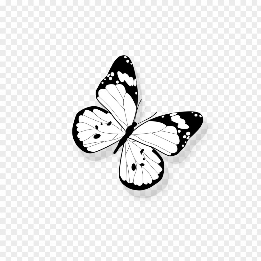 Butterfly OnePlus 5T Computer File PNG