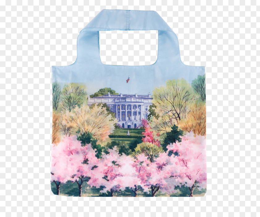 Cherry Blossom Watercolor White House Tidal Basin PNG